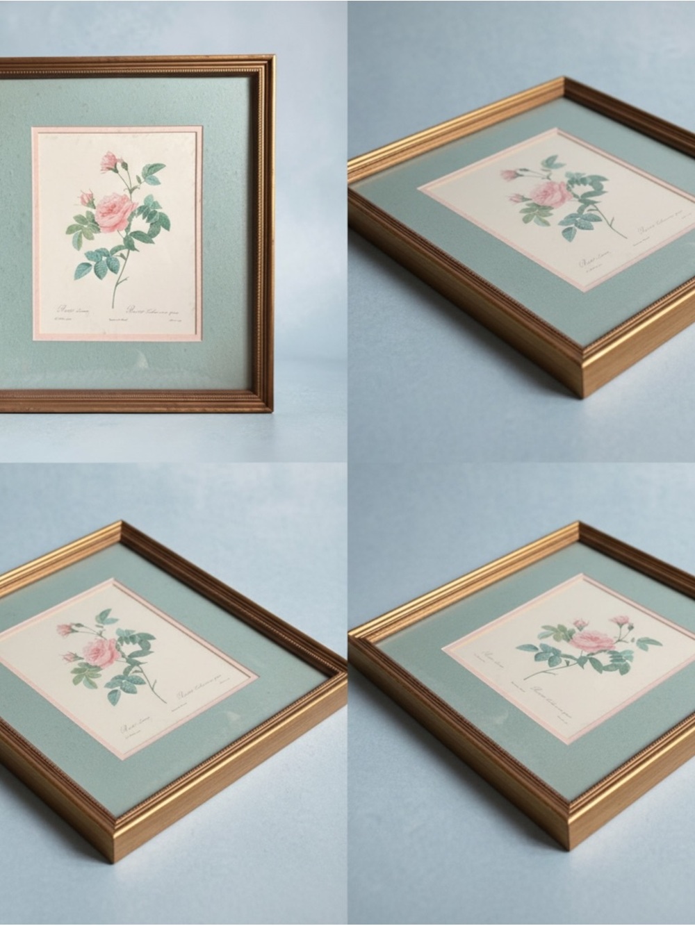 Vintage Framed Botanical Rose Print — Sage Green Matting - P.J Redouté - 1959
